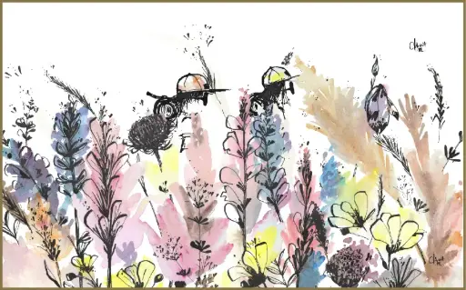 A travers fleurs !