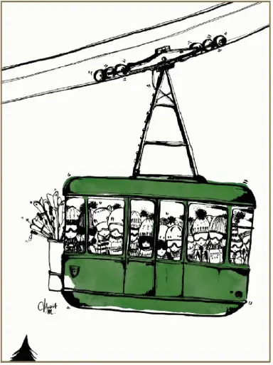 Téléphérique forêt